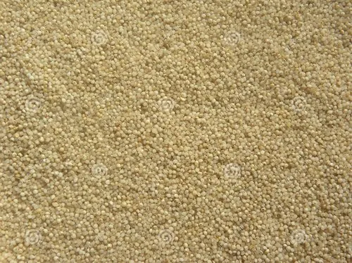 Barnyard Millets, Packaging Size: 1000