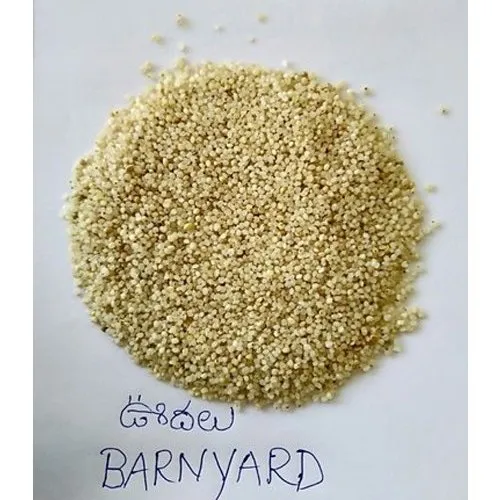 Organic Barnyard Millet