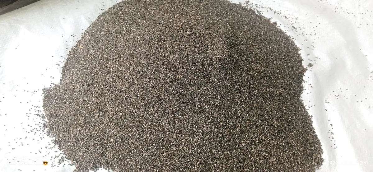 Kamadhei - Chia Seeds