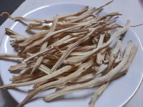 White Sataver Root Dry