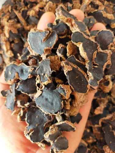 Black Ginger 1 KG Carton