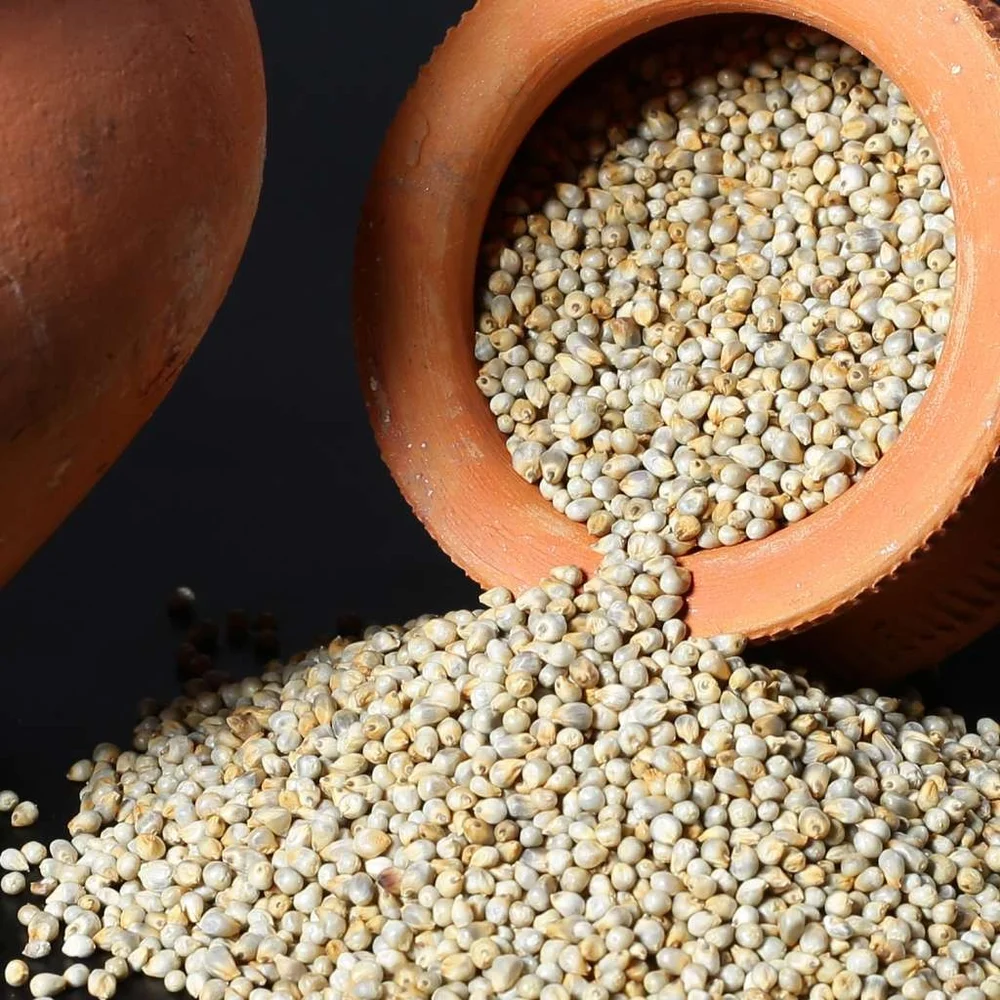 Indian Tapovana Organic Pearl Millet, For Cooking, Packaging Size: 500g