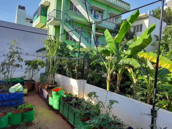 Roof Top Flower Gardening Service, Bengaluru