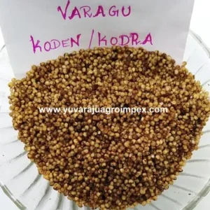 Parboiled Varagu Pulungal Kodo