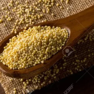 Wholesale Indian Foxtail Millet