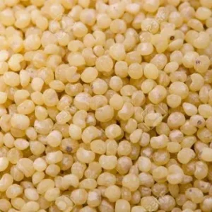 Wholesale Indian Barnyard Millet