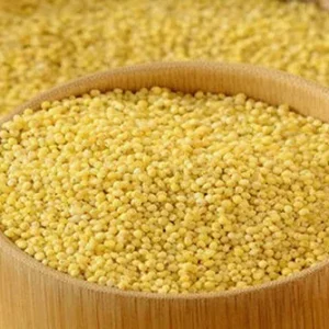 Yellow Foxtail Millet Rice